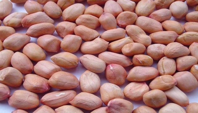 Manfaat Menakjubkan dari Kacang Tanah