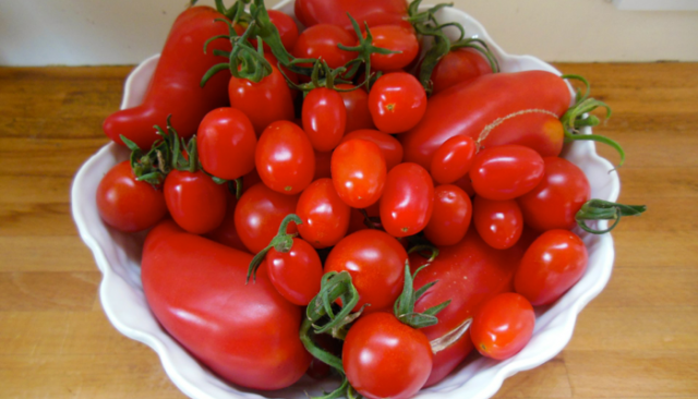 Manfaat Tomat Untuk Kesehatan dan Kecantikan