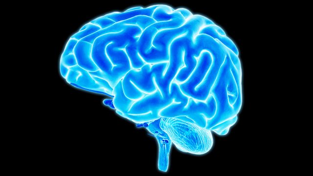 Meningkatkan Kinerja Otak